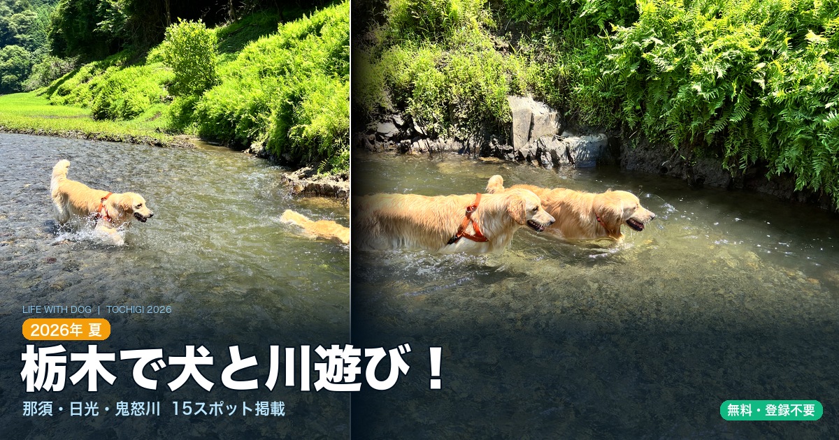 栃木で犬と夏の涼を満喫！川遊びスポット8選＋SUP・カヌーツアー7選＋避暑スポット【那須・日光・鬼怒川】